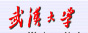 武汉大学