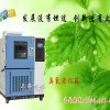 中国LRHS系列臭氧老化箱